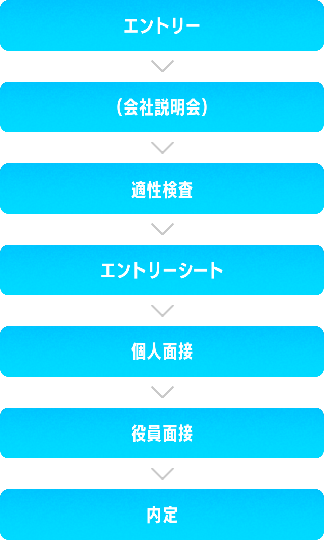 エントリー(会社説明会）適正検査エントリーシート個人面接役員面接内定