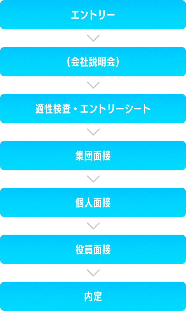 エントリー(会社説明会）適正検査エントリーシート集団面談個人面談役員面接内定