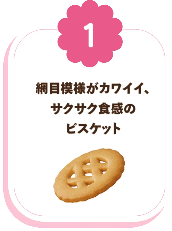 網目模様がカワイイ、サクサク食感のビスケット